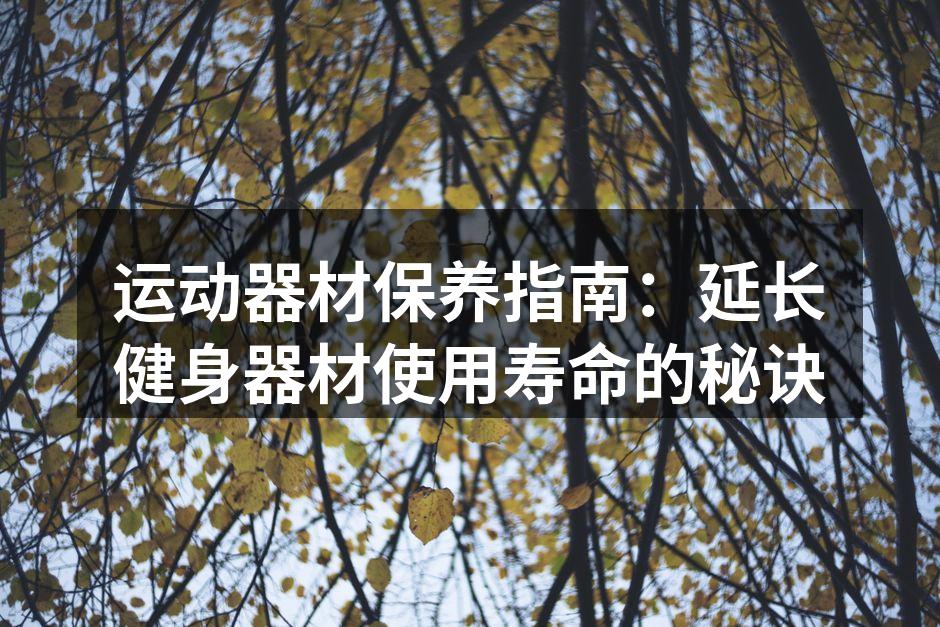 运动器材保养指南：延长健身器材使用寿命的秘诀